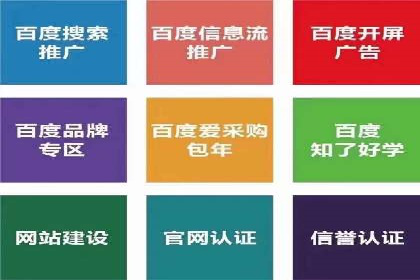 深度解析：百度竞价代理的优化策略与成功案例