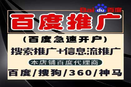 案例研究：SEM竞价托管效果对比